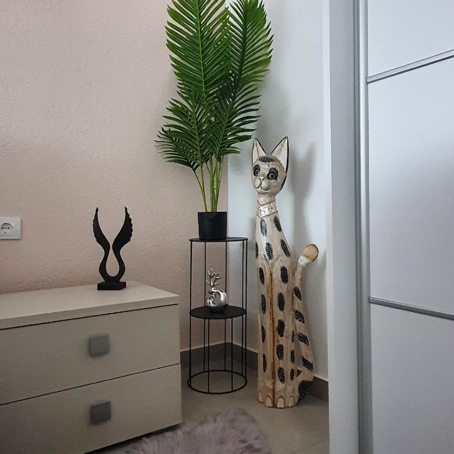 Afrodita Apartment Vrdnik Exteriör bild