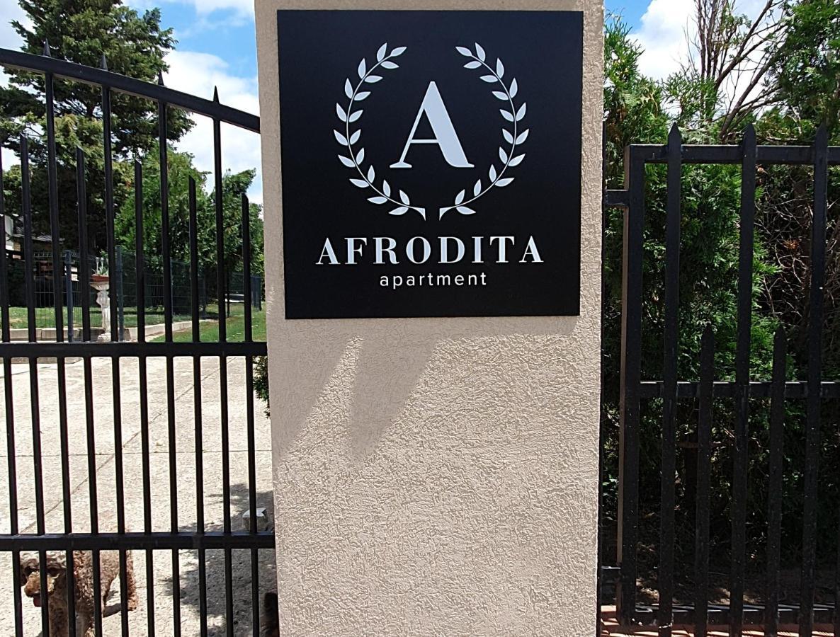Afrodita Apartment Vrdnik Exteriör bild